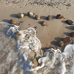 5 Zmysłów Akademia Wypoczynku Resort