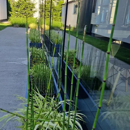 5 Zmyslow Akademia Wypoczynku