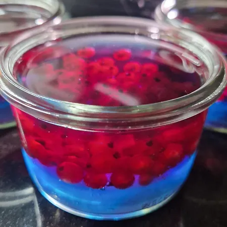 5 Zmyslow Akademia Wypoczynku Zieleniewo (Kolobrzeg)