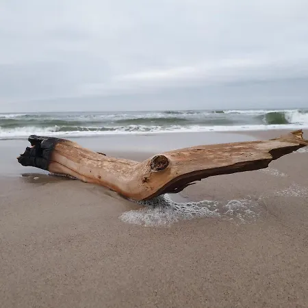 5 Zmyslow Akademia Wypoczynku